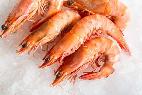 9/12 Cooked Mooloolaba King Prawns