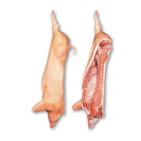 Bulk Pork Pack